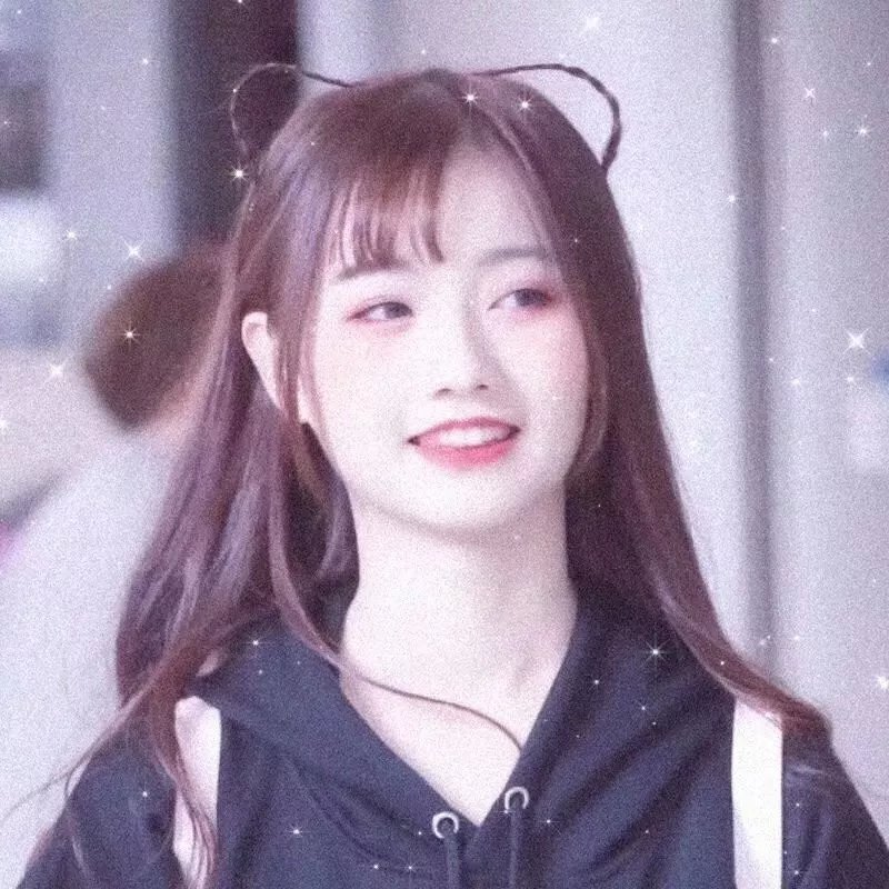 海龟故事